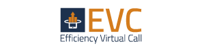 Efficiency Virtual Call